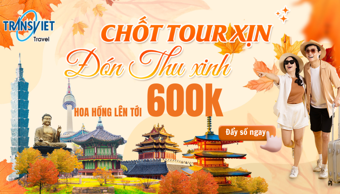 TransViet – 30 năm kinh nghiệm, đồng hành cùng hơn 10 triệu du khách